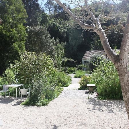 Ribeira Dos Marinheiros Amarelo Apartment Sintra Luaran gambar